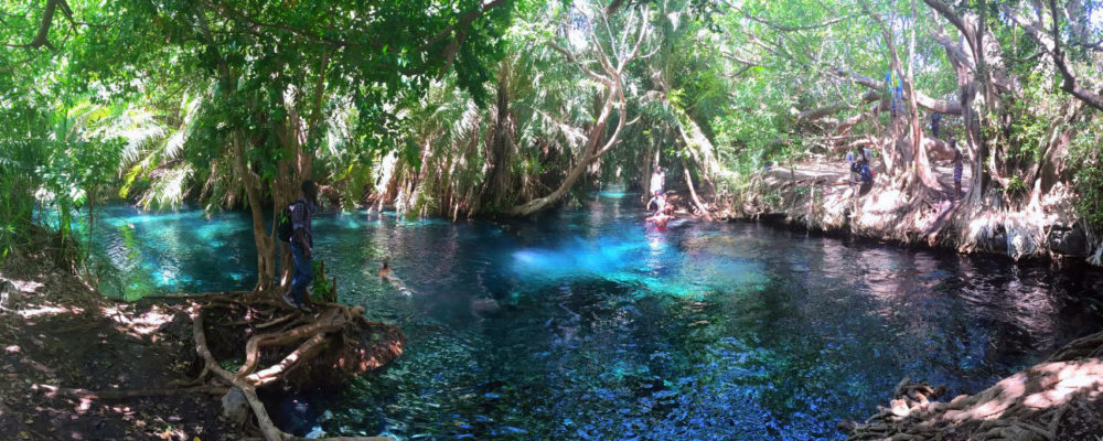 kikuletwa-hot-springs