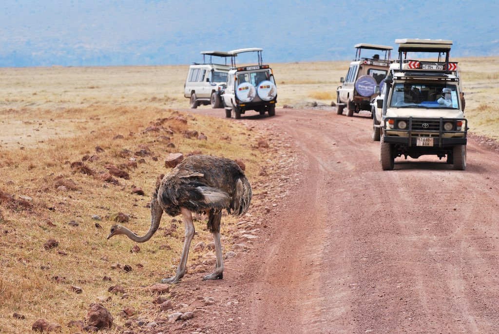 tanzania safari and zanzibar holiday